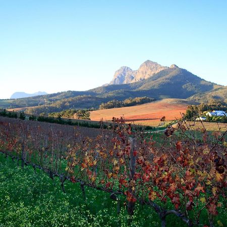 Marianne Wine Estate Bed & Breakfast สเตลเลนบอช ภายนอก รูปภาพ