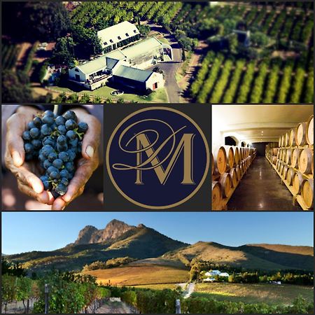 Marianne Wine Estate Bed & Breakfast สเตลเลนบอช ภายนอก รูปภาพ