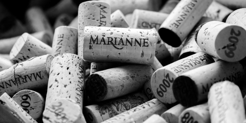 Marianne Wine Estate Bed & Breakfast สเตลเลนบอช ภายนอก รูปภาพ