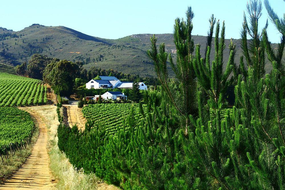 Marianne Wine Estate Bed & Breakfast สเตลเลนบอช ภายนอก รูปภาพ