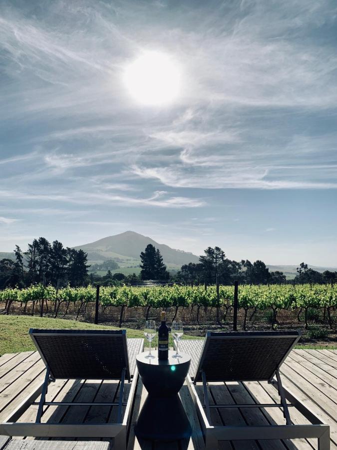 Marianne Wine Estate Bed & Breakfast สเตลเลนบอช ภายนอก รูปภาพ
