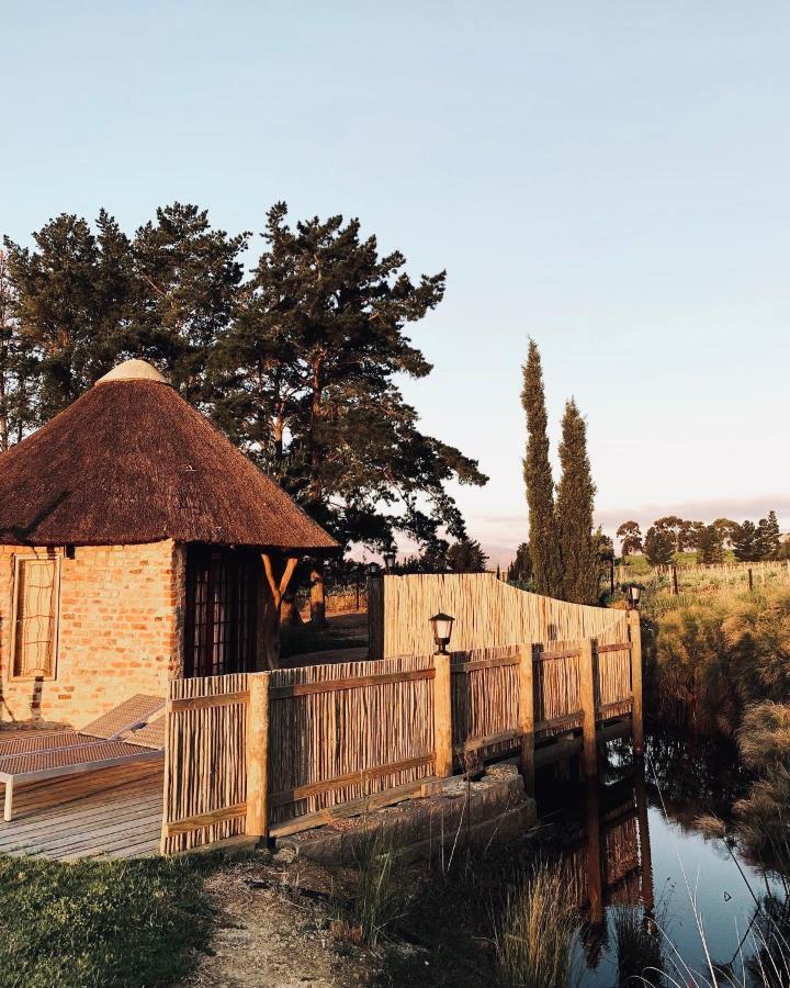 Marianne Wine Estate Bed & Breakfast สเตลเลนบอช ภายนอก รูปภาพ